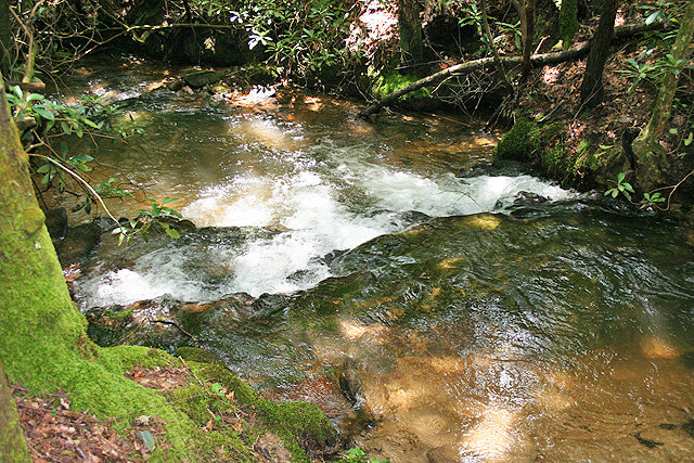 Georgia trout stream property