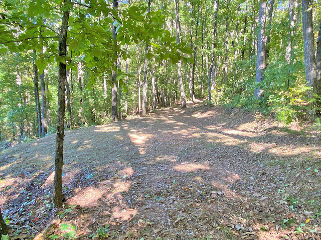 Gilmer County land for sale