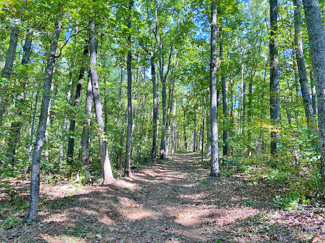 land for sale in Gilmer County, GA