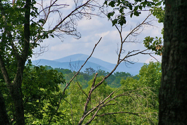 Georgia mountain property with creek