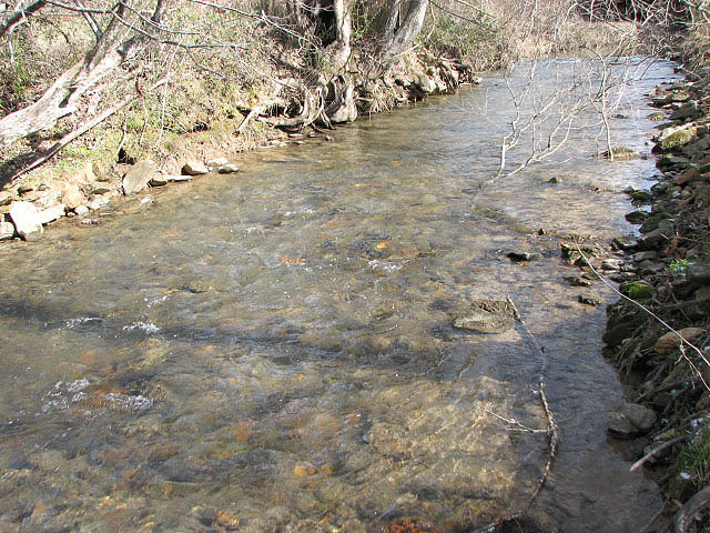Gilmer County trout stream for sale
