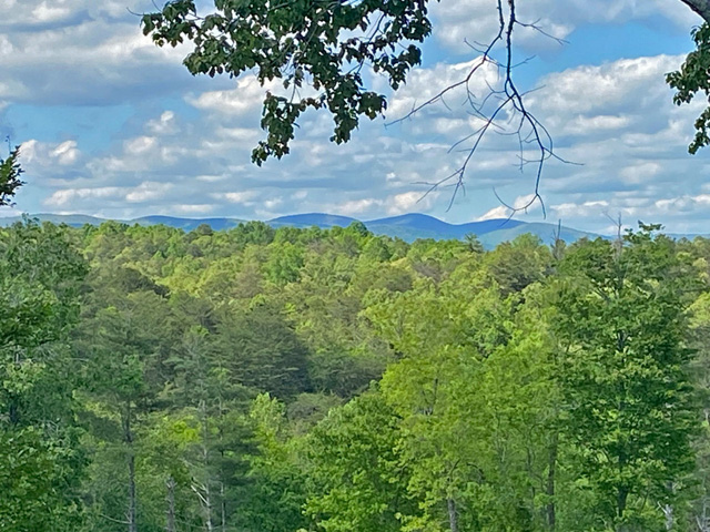 Dawsonville acreage with river