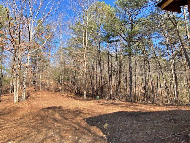 Jasper GA cheap house