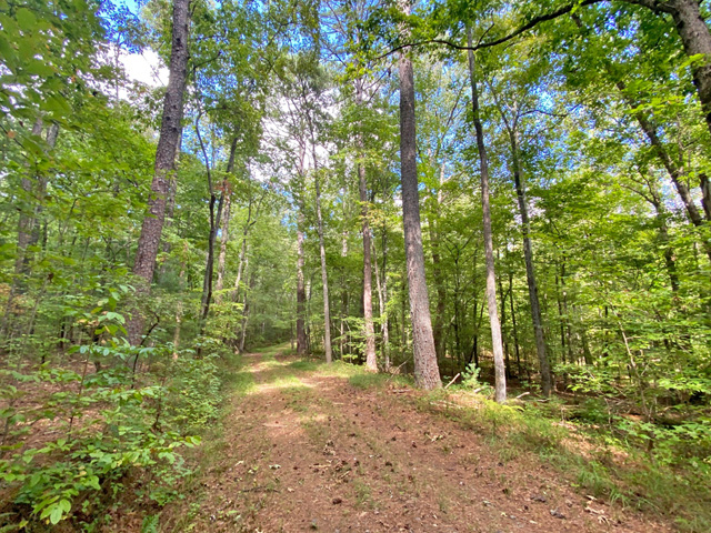 Land for sale Ellijay GA