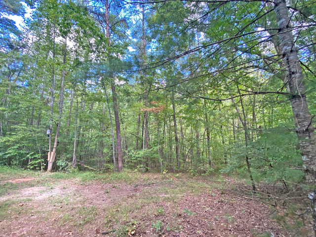 Land for sale Gilmer County GA