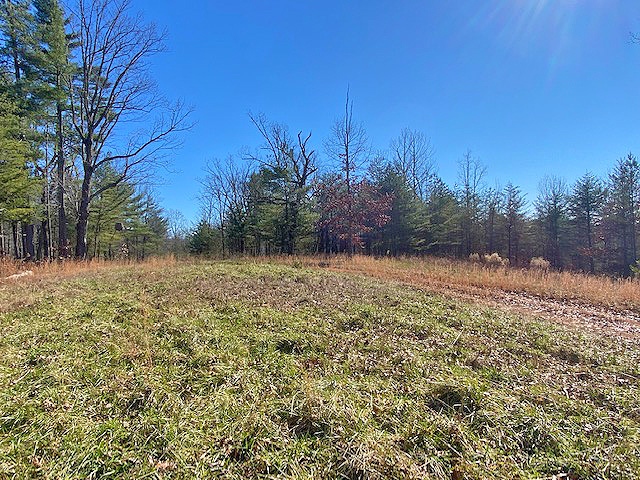Lumpkin County acreage for sale