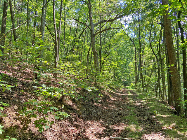 Georgia mountain land for sale
