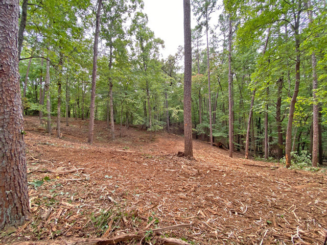 Lumpkin County subdivision lots for sale