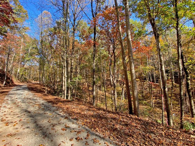 building lots for sale Dahlonega